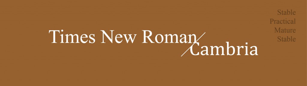 font times new roman cambria