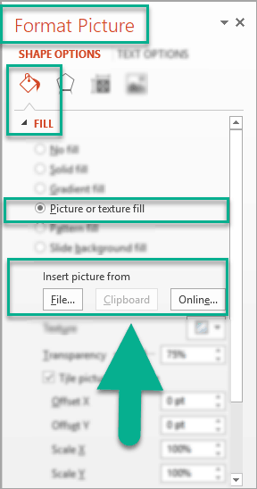 The Format Picture menu in PowerPoint