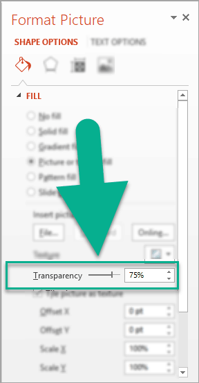 The image transparency option in the Format Picture menu in PowerPoint