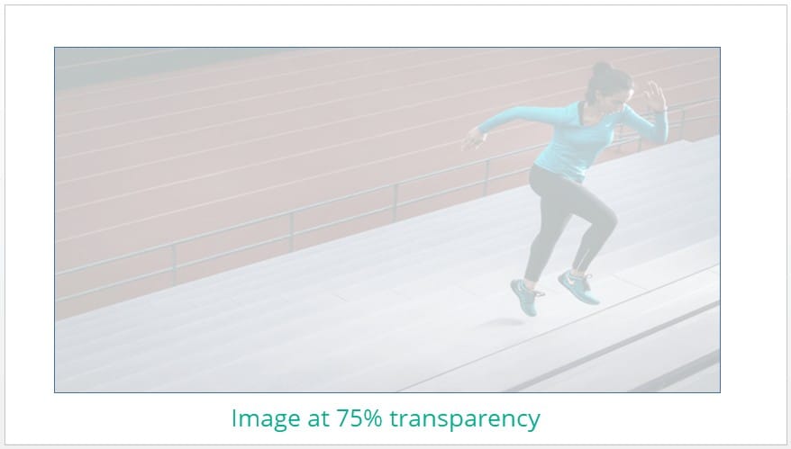 Image inserted into rectangle shape in PowerPoint at 75% transparency