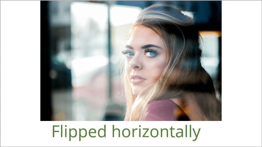 Sample image in PowerPoint flipped horizontally