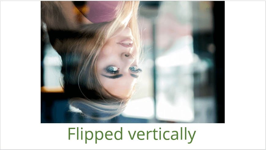 Vertically flipped sample image in PowerPoint 