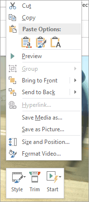 The video formatting options in PowerPoint 