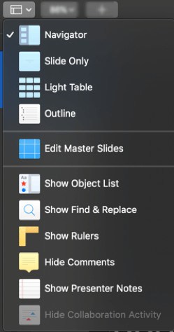 Apple Keynote's view options