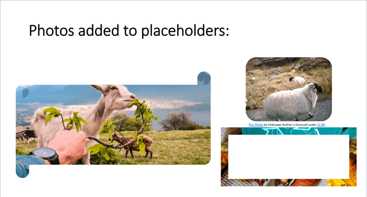 added images to custom layout in ppt