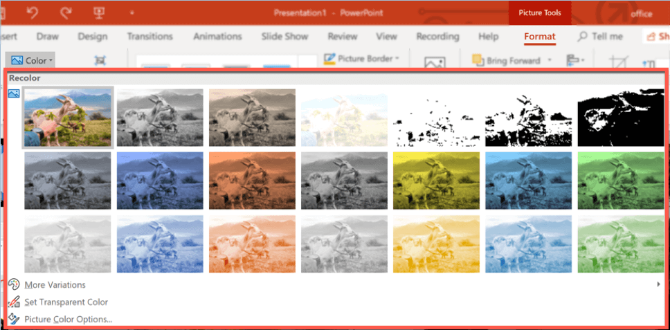 powerpoint's color option