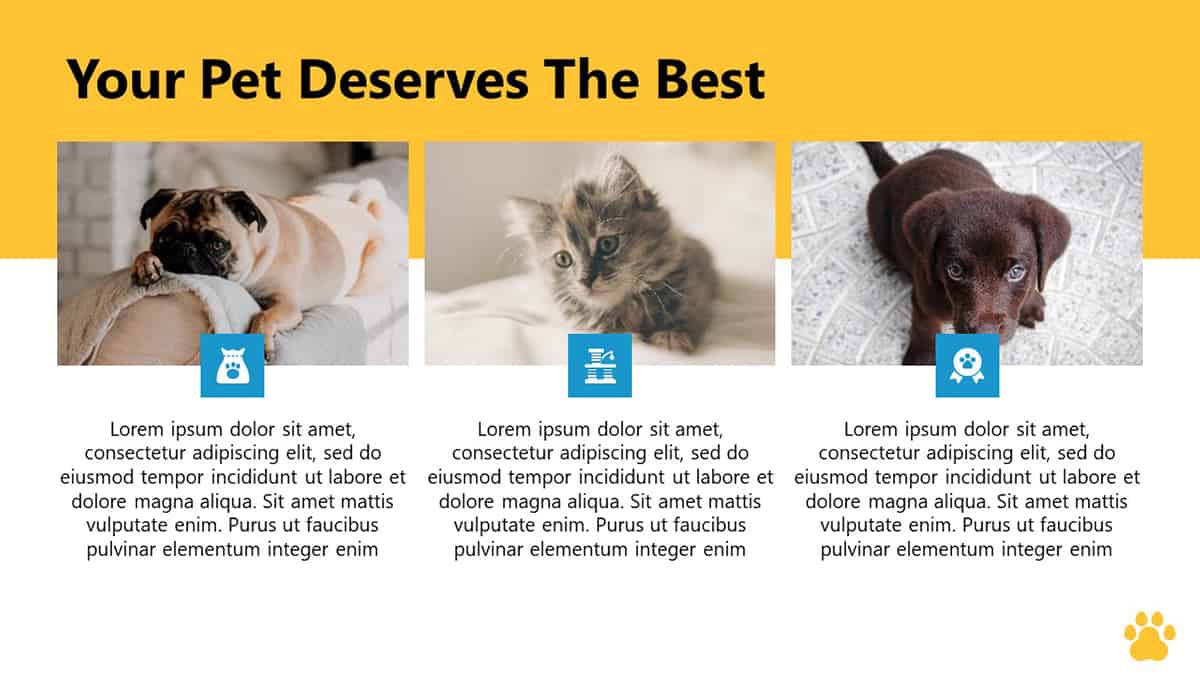 Pet Care PowerPoint Template