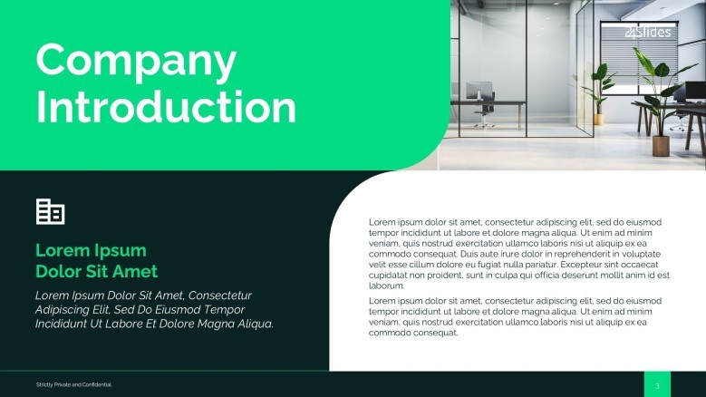 Company Introduction Slide