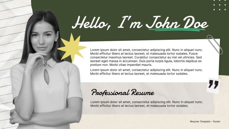 Professional Resume Summary Slide