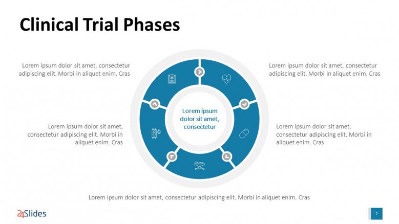 Clinical Trial Phases' Circle Diagram