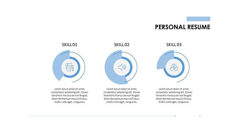 personal resume data information in pie chart
