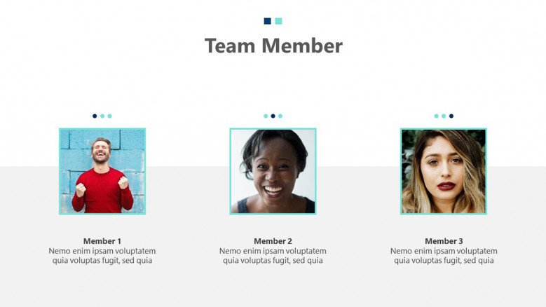 Meet the team slide with images