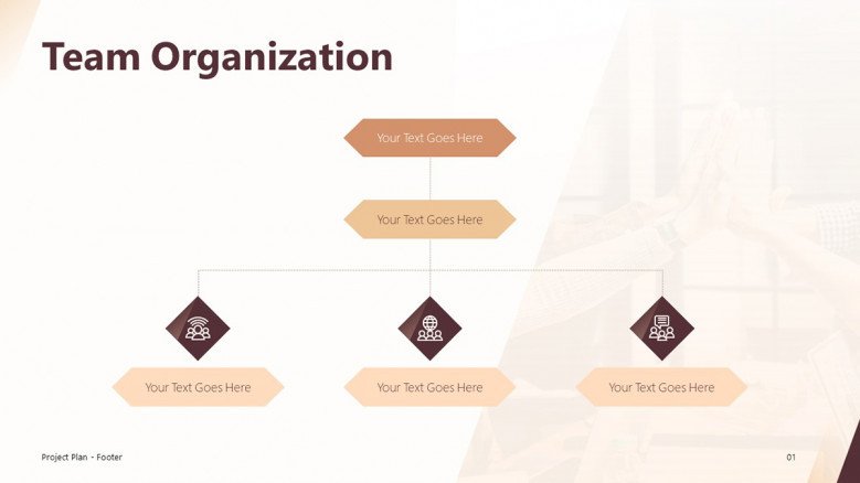 Team Organization Slide for a Project Plan