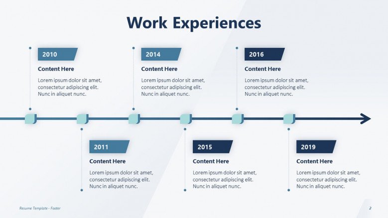 Professional Work Experience Timeline