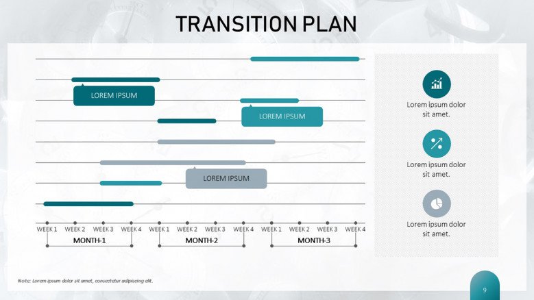 Transition Plan Timeline