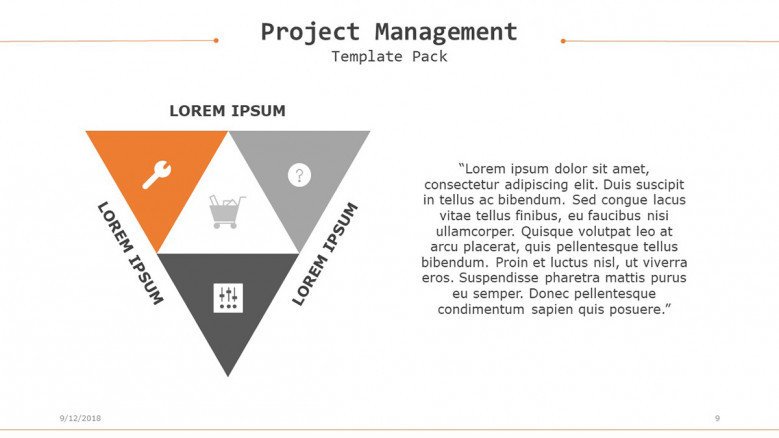 project management in triangle chart with icons