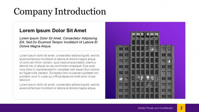 Company Introduction Slide