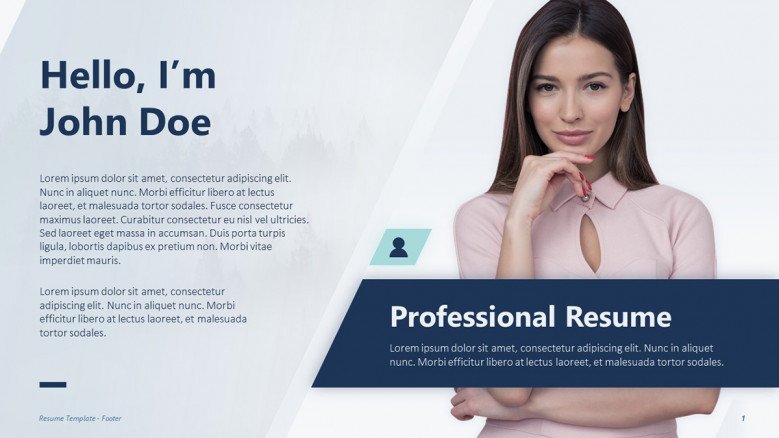 Professional Resume Summary Slide