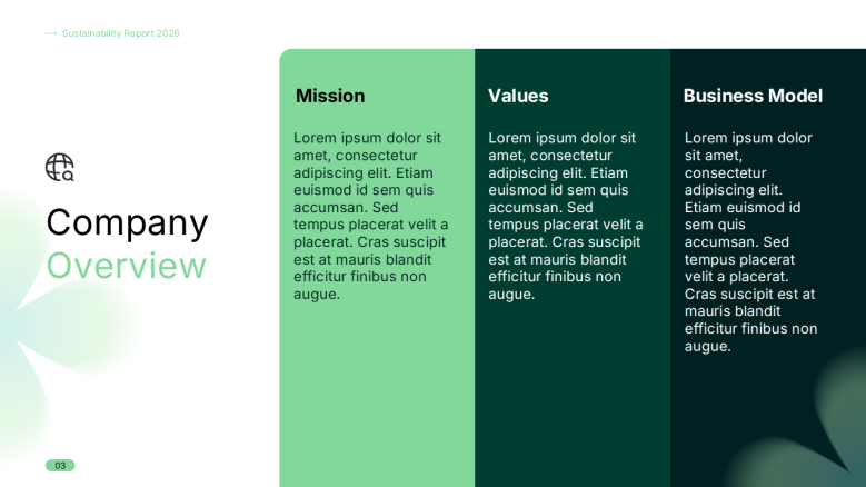 Company Overview Slide