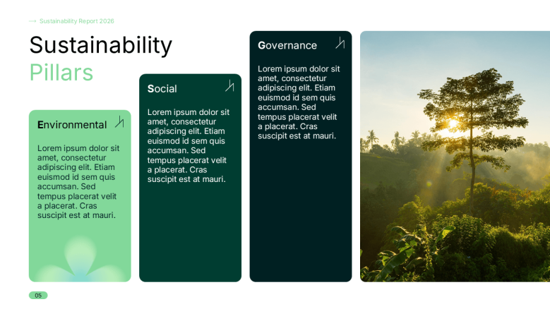 Sustainability Pillars Slide