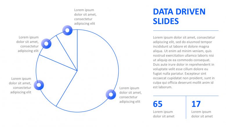 4 pie charts with text section