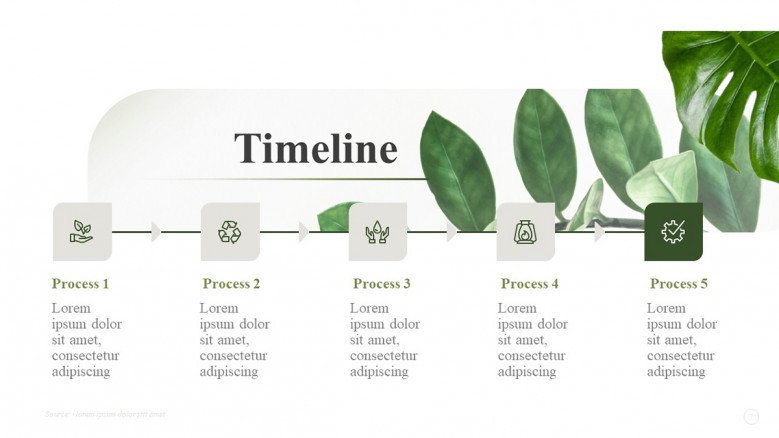 Minimalist Timeline for an environmental Presentation