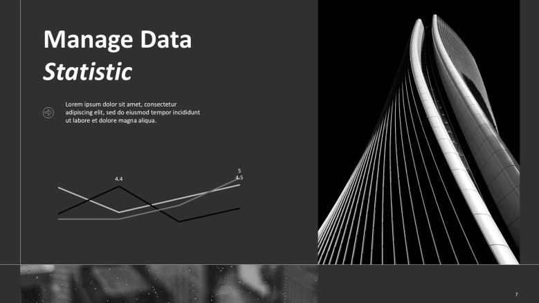 Simple line chart slide in black and white