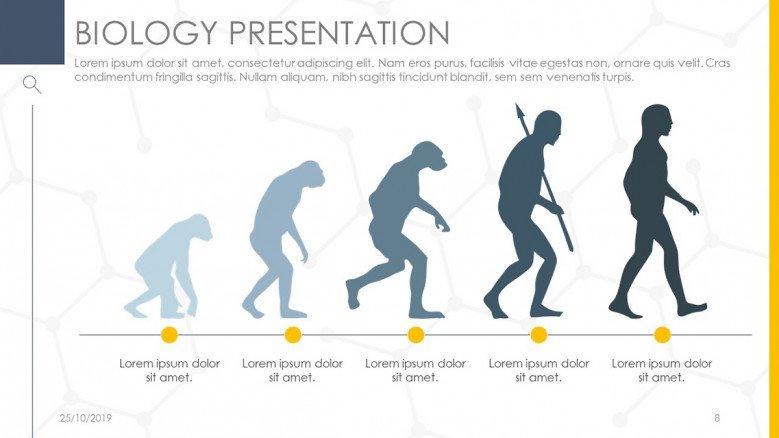 Infographic Human Evolution Timeline